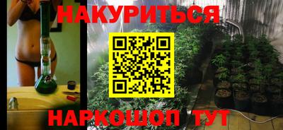 сатива Бузулук