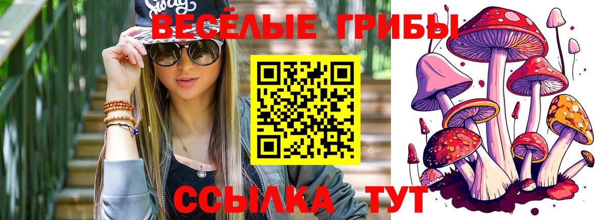 Галлюциногенные грибы Cubensis  Галлюциногенные грибы мицелий  Магнитогорск  Вход с VPN 